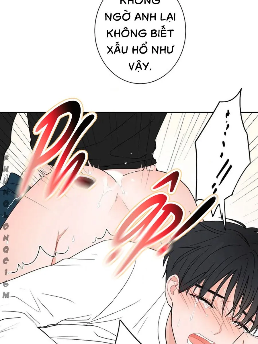 Tiền Bối, Chúng Ta Cần Nói Chuyện Chapter 14 Trang 5