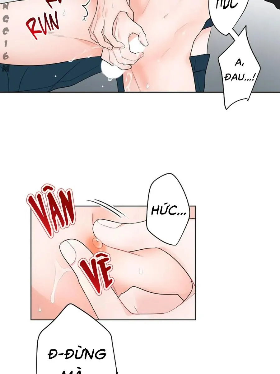 Tiền Bối, Chúng Ta Cần Nói Chuyện Chapter 14 Trang 10