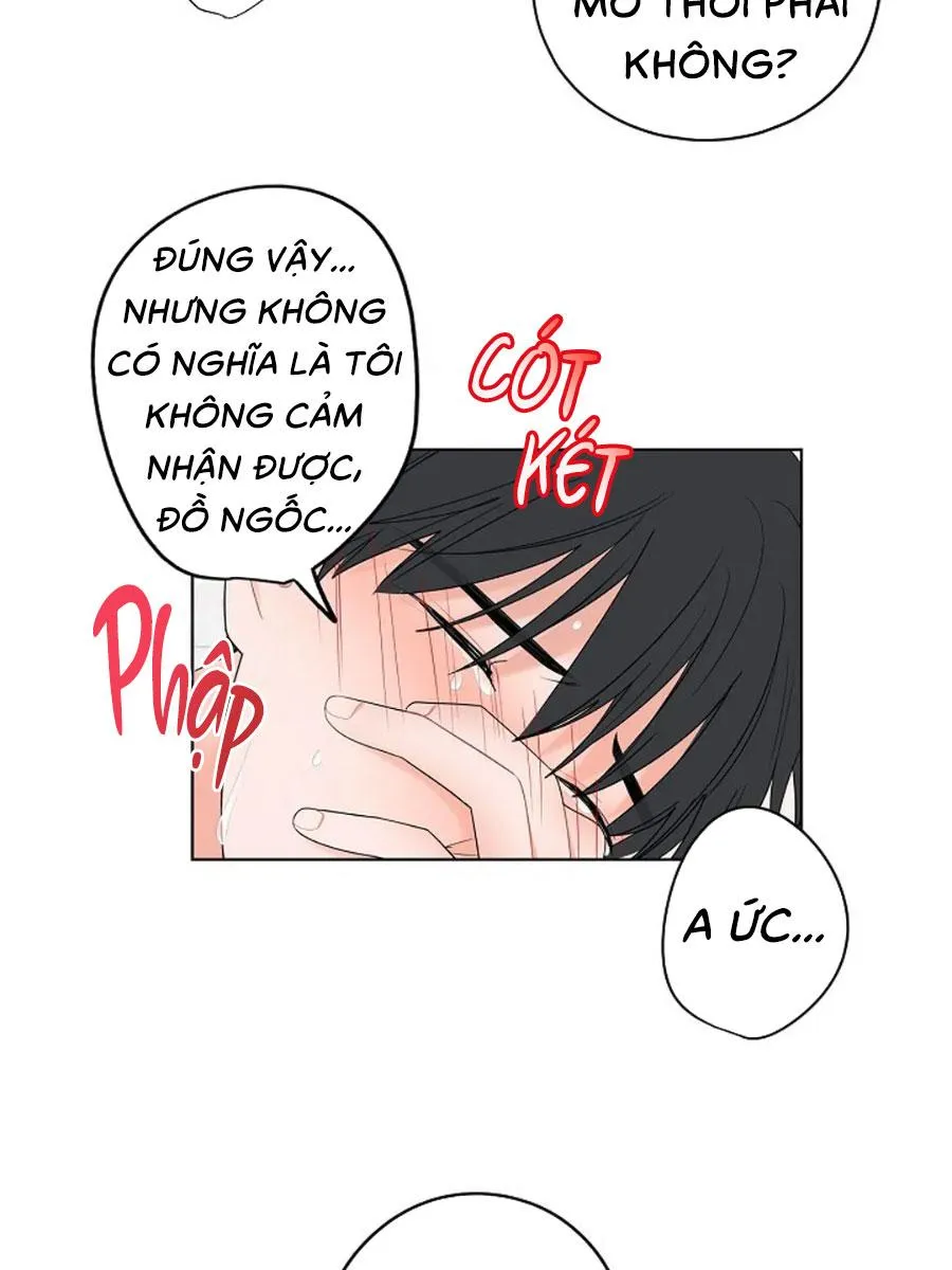 Tiền Bối, Chúng Ta Cần Nói Chuyện Chapter 14 Trang 18