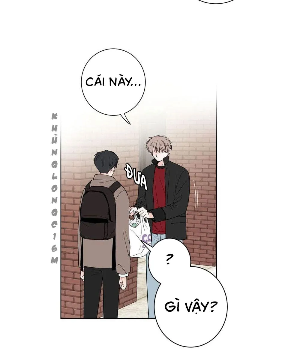 Tiền Bối, Chúng Ta Cần Nói Chuyện Chapter 15 Trang 43