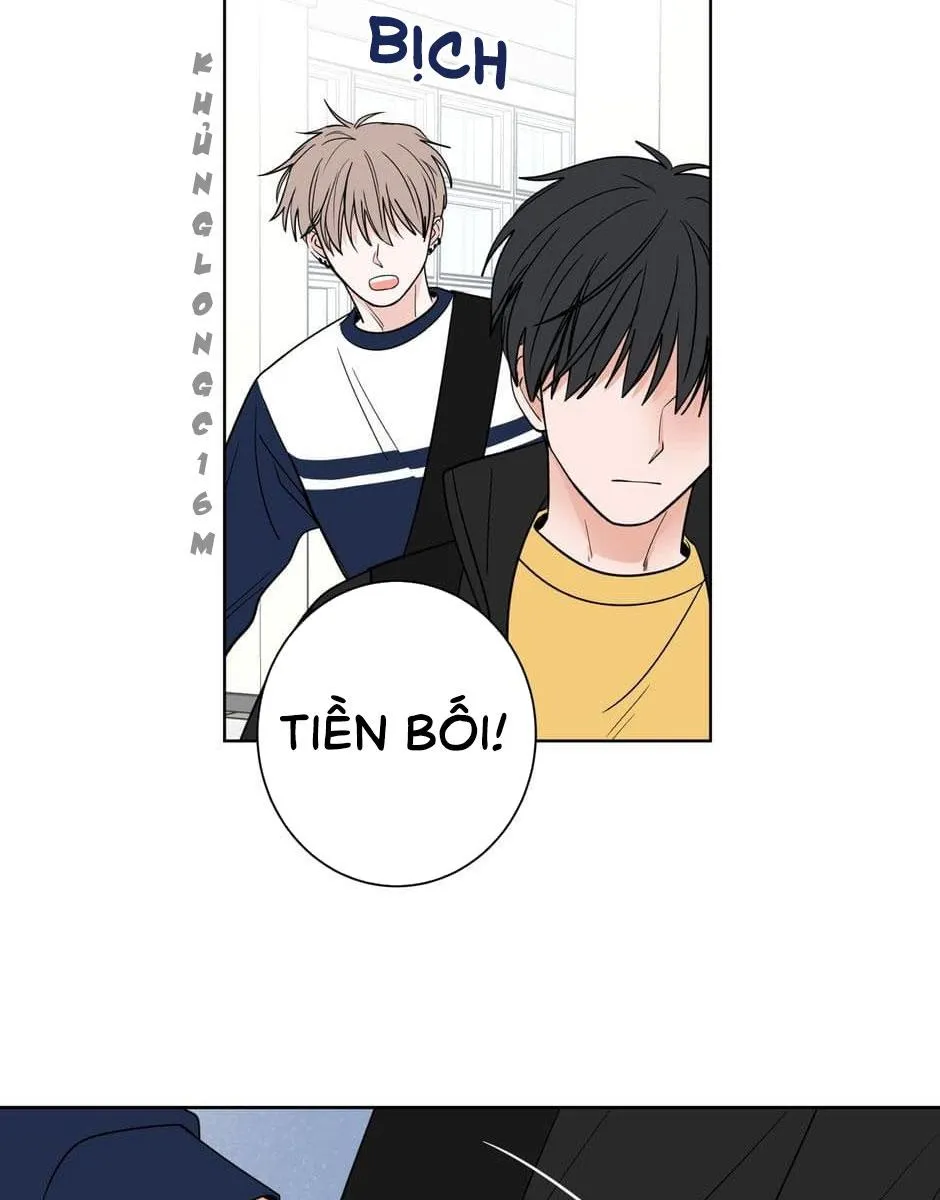 Tiền Bối, Chúng Ta Cần Nói Chuyện Chapter 16 Trang 46