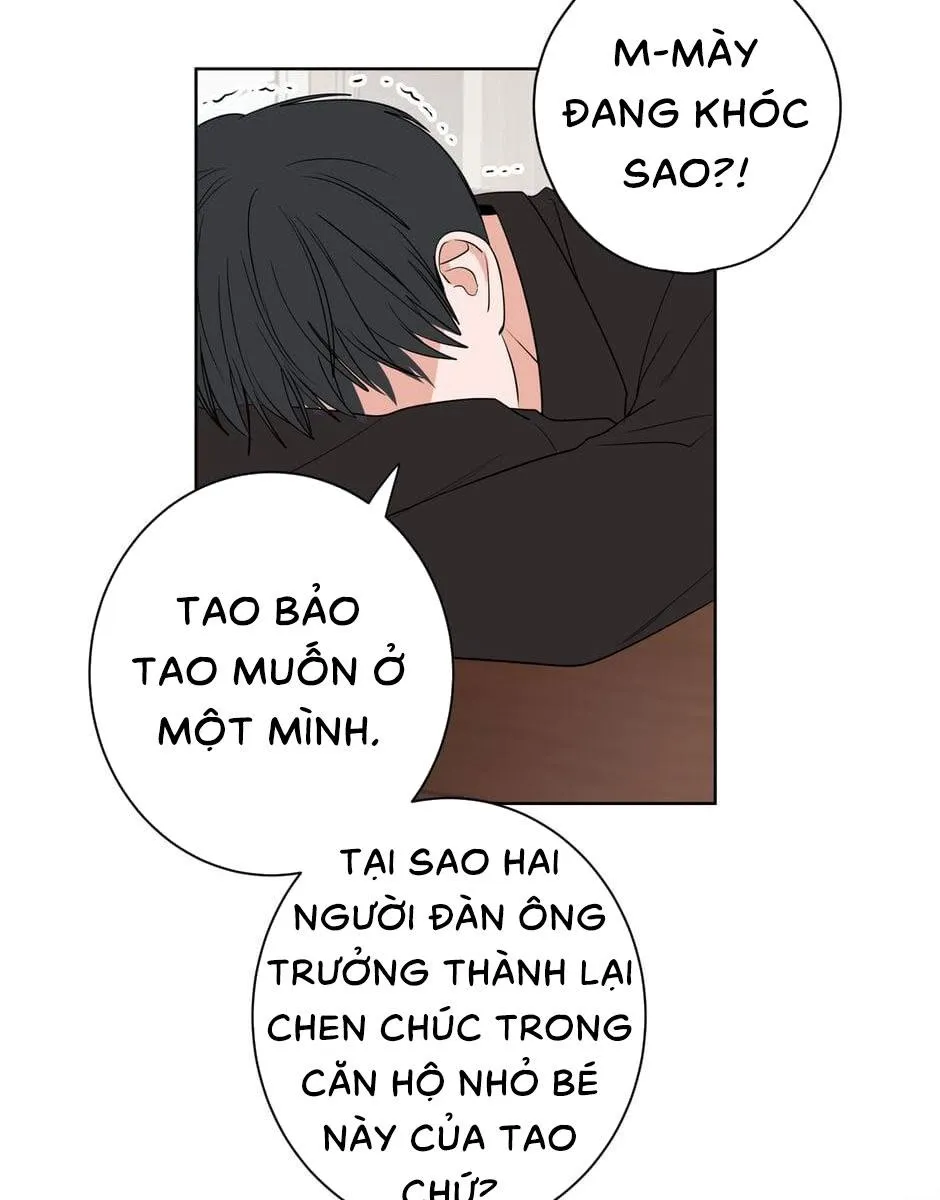 Tiền Bối, Chúng Ta Cần Nói Chuyện Chapter 17 Trang 43