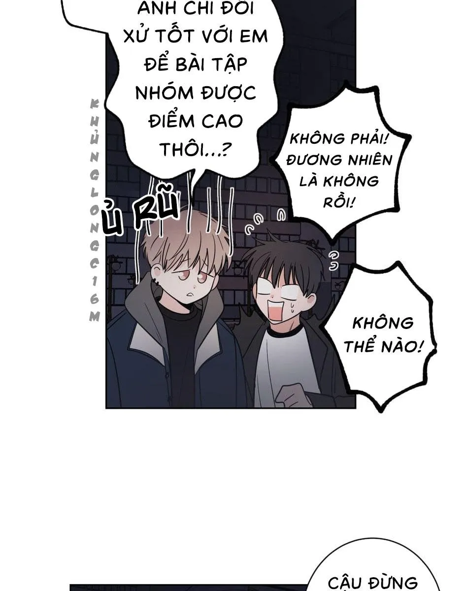 Tiền Bối, Chúng Ta Cần Nói Chuyện Chapter 20 Trang 4