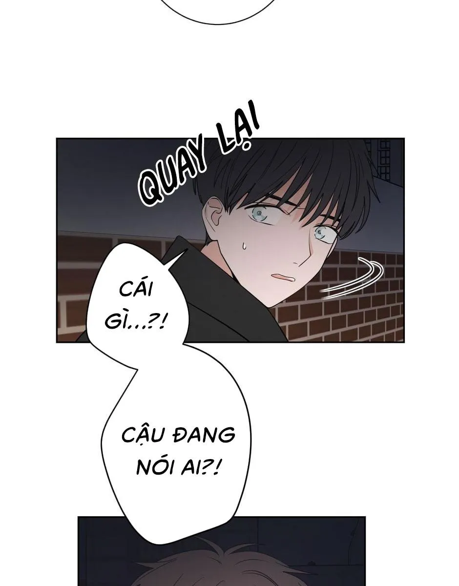 Tiền Bối, Chúng Ta Cần Nói Chuyện Chapter 20 Trang 12