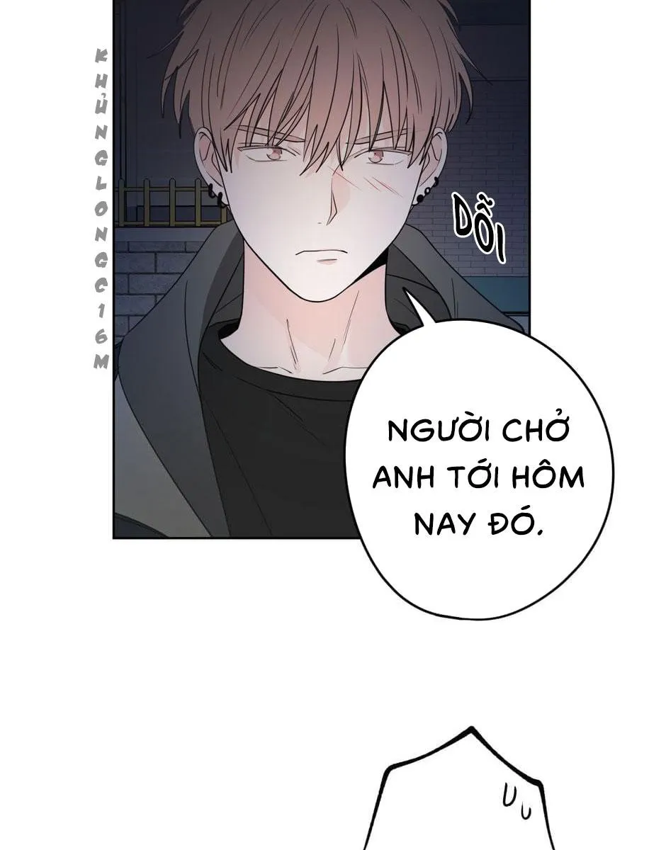 Tiền Bối, Chúng Ta Cần Nói Chuyện Chapter 20 Trang 13