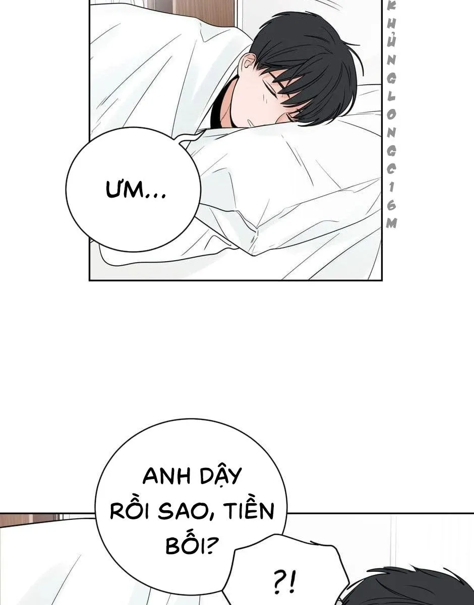 Tiền Bối, Chúng Ta Cần Nói Chuyện Chapter 21 Trang 43