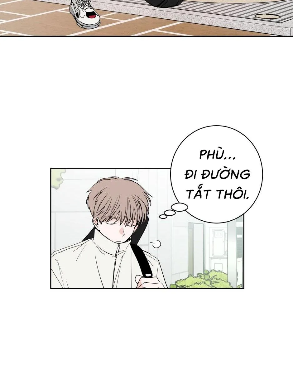 Tiền Bối, Chúng Ta Cần Nói Chuyện Chapter 22 Trang 3