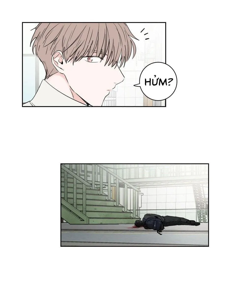 Tiền Bối, Chúng Ta Cần Nói Chuyện Chapter 22 Trang 5