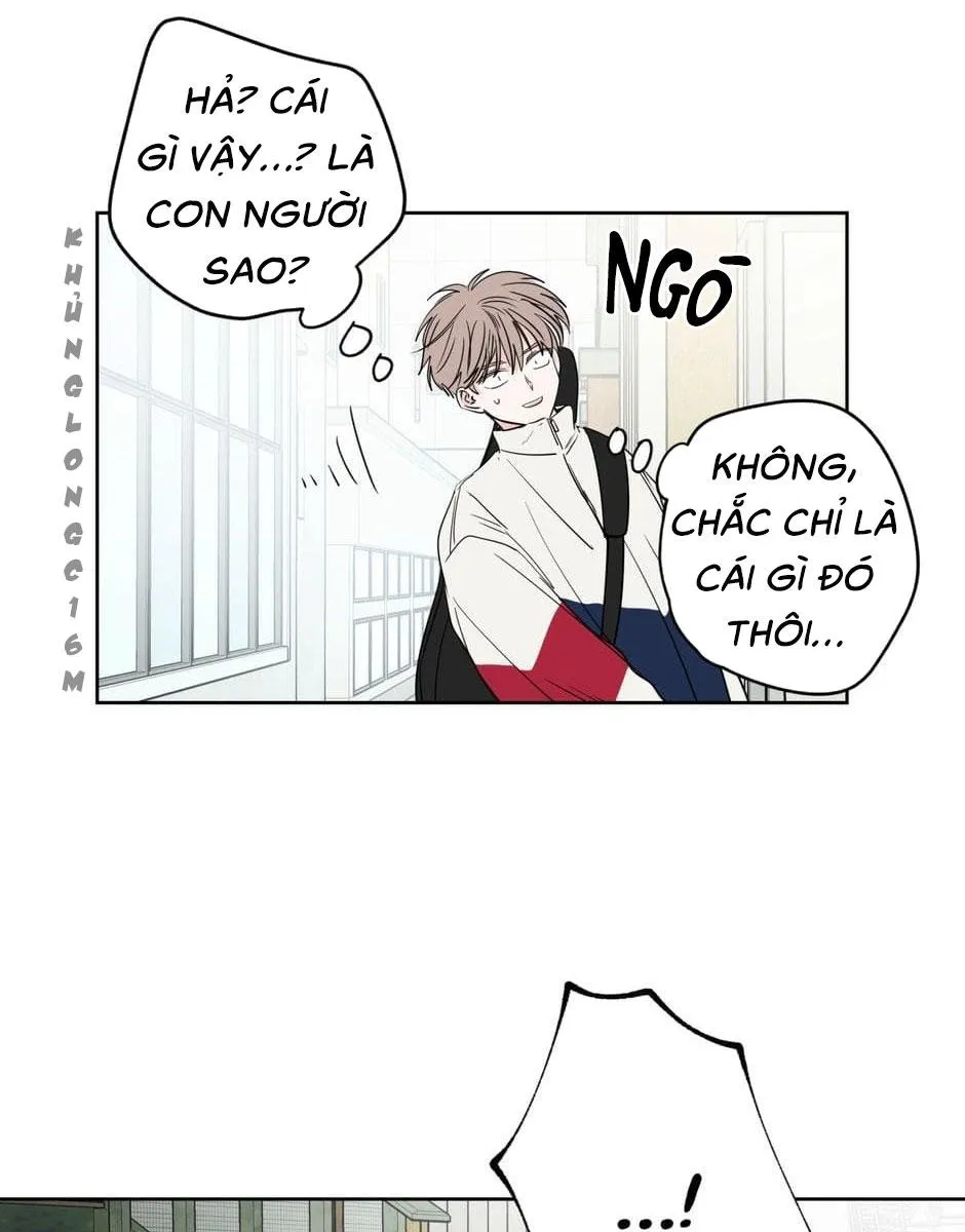 Tiền Bối, Chúng Ta Cần Nói Chuyện Chapter 22 Trang 6