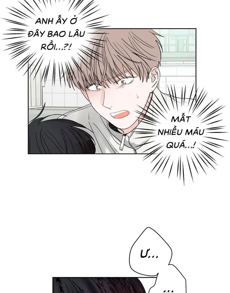 Tiền Bối, Chúng Ta Cần Nói Chuyện Chapter 22 Trang 11