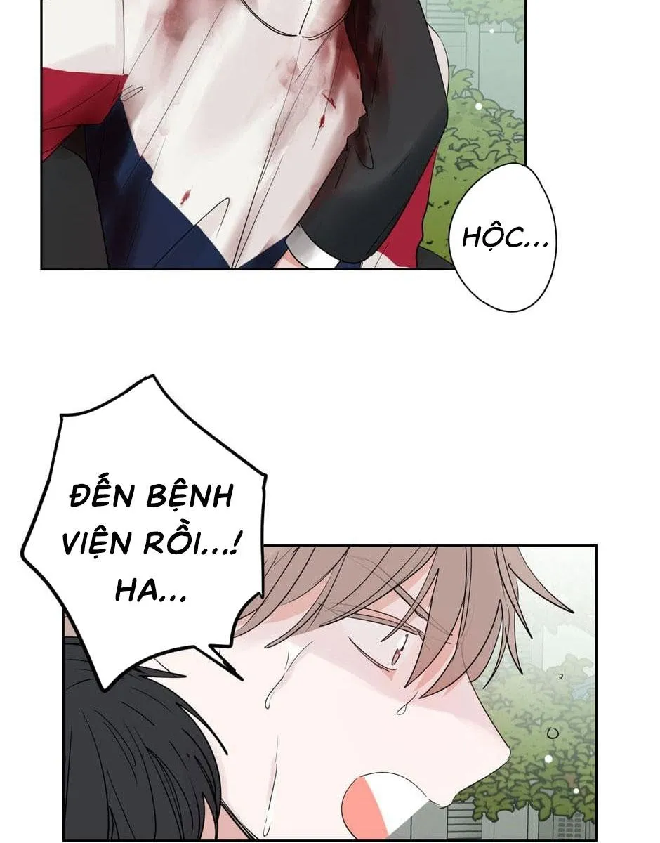 Tiền Bối, Chúng Ta Cần Nói Chuyện Chapter 22 Trang 16