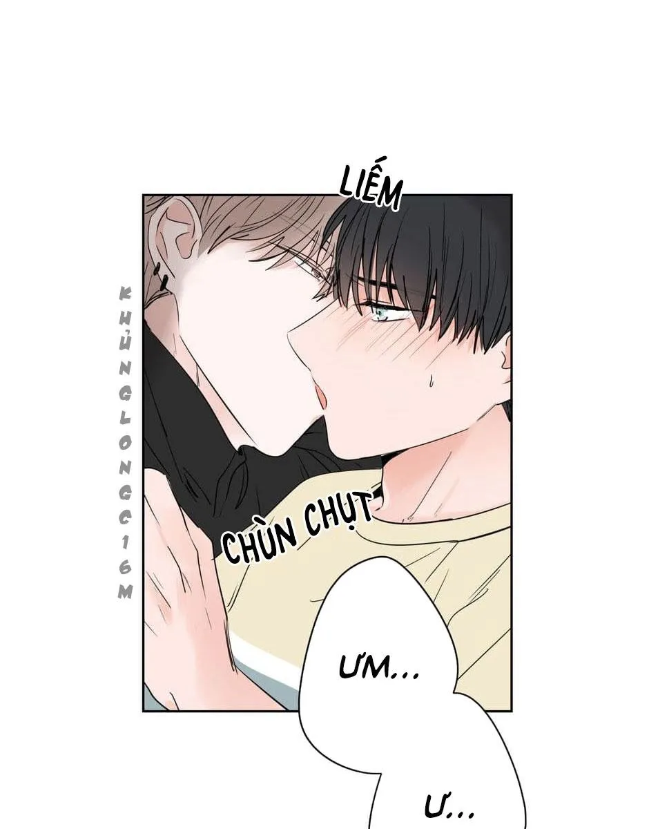 Tiền Bối, Chúng Ta Cần Nói Chuyện Chapter 23 Trang 5