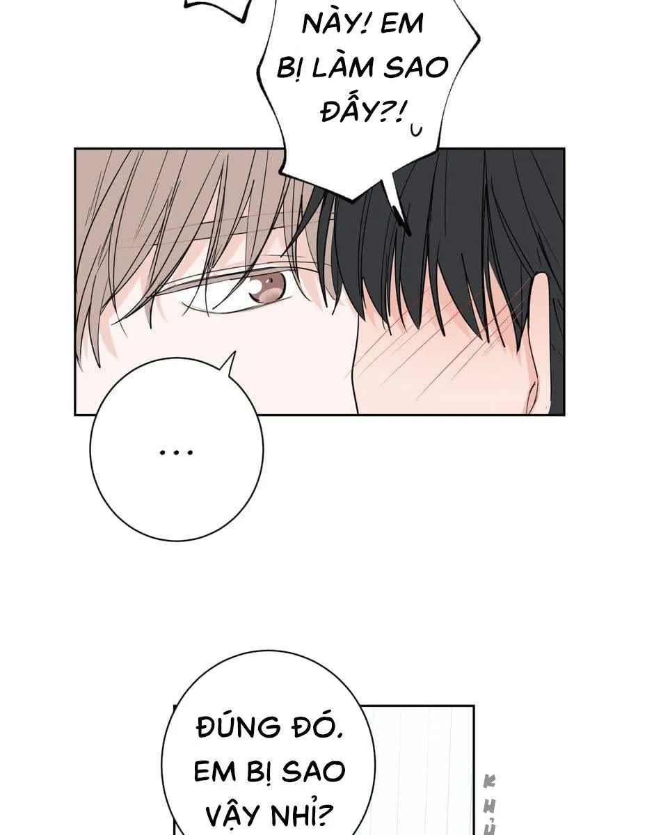 Tiền Bối, Chúng Ta Cần Nói Chuyện Chapter 23 Trang 25