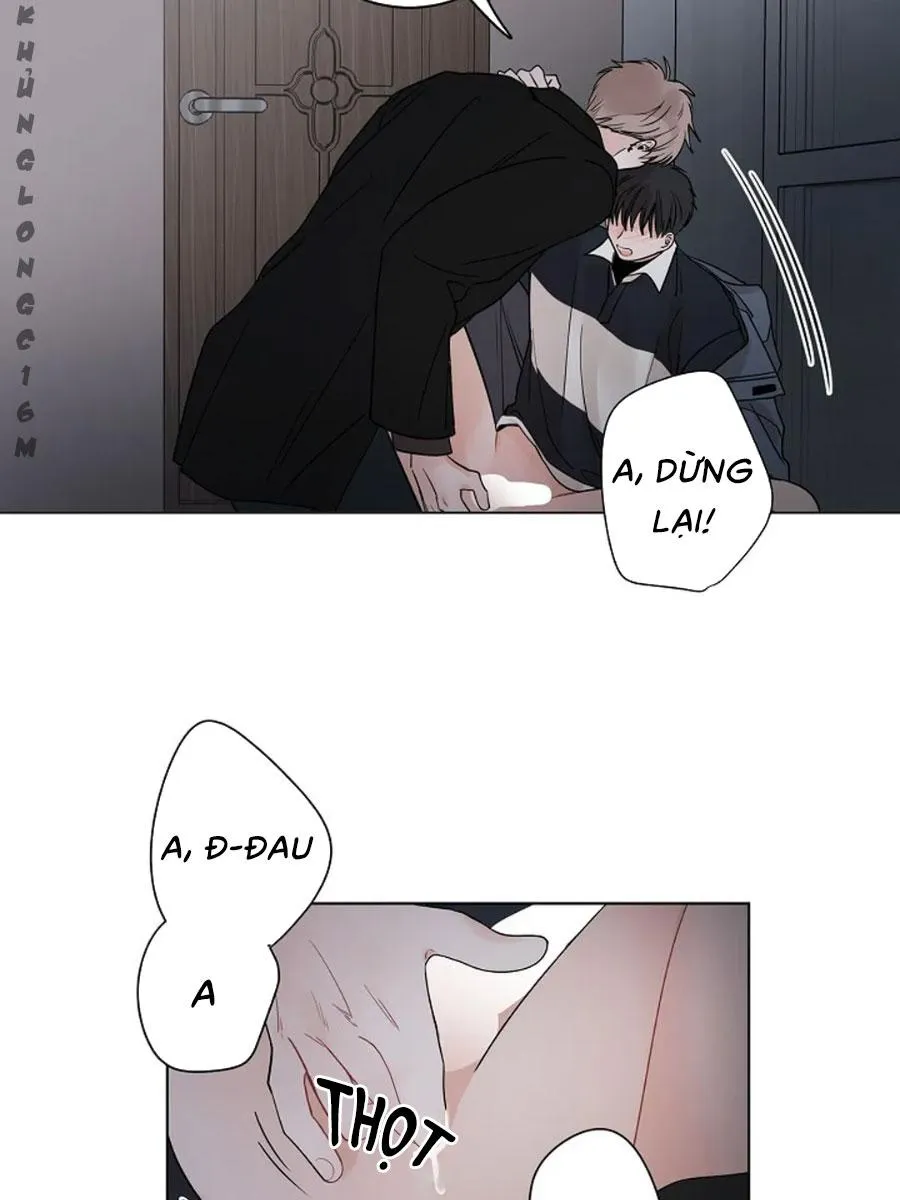 Tiền Bối, Chúng Ta Cần Nói Chuyện Chapter 28 Trang 20