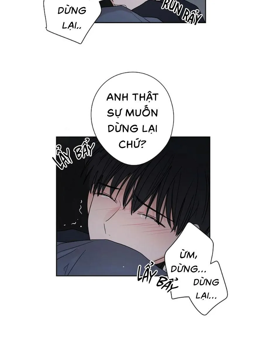 Tiền Bối, Chúng Ta Cần Nói Chuyện Chapter 28 Trang 22