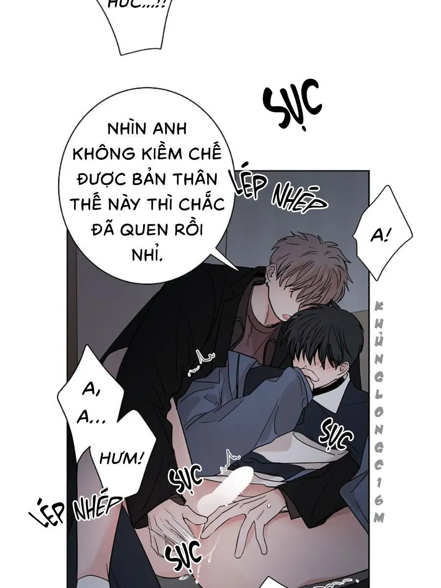 Tiền Bối, Chúng Ta Cần Nói Chuyện Chapter 28 Trang 28