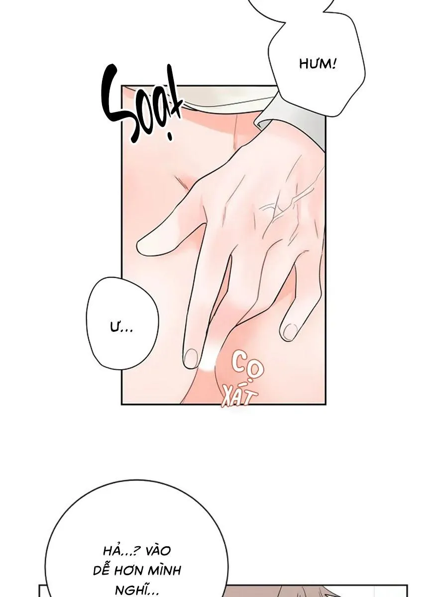 Tiền Bối, Chúng Ta Cần Nói Chuyện Chapter 31 Trang 3