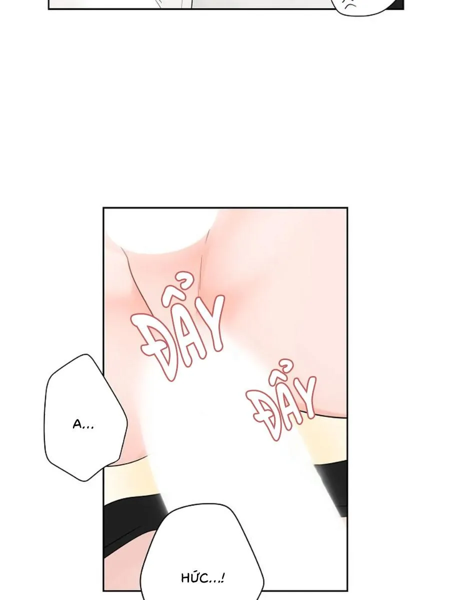 Tiền Bối, Chúng Ta Cần Nói Chuyện Chapter 31 Trang 15