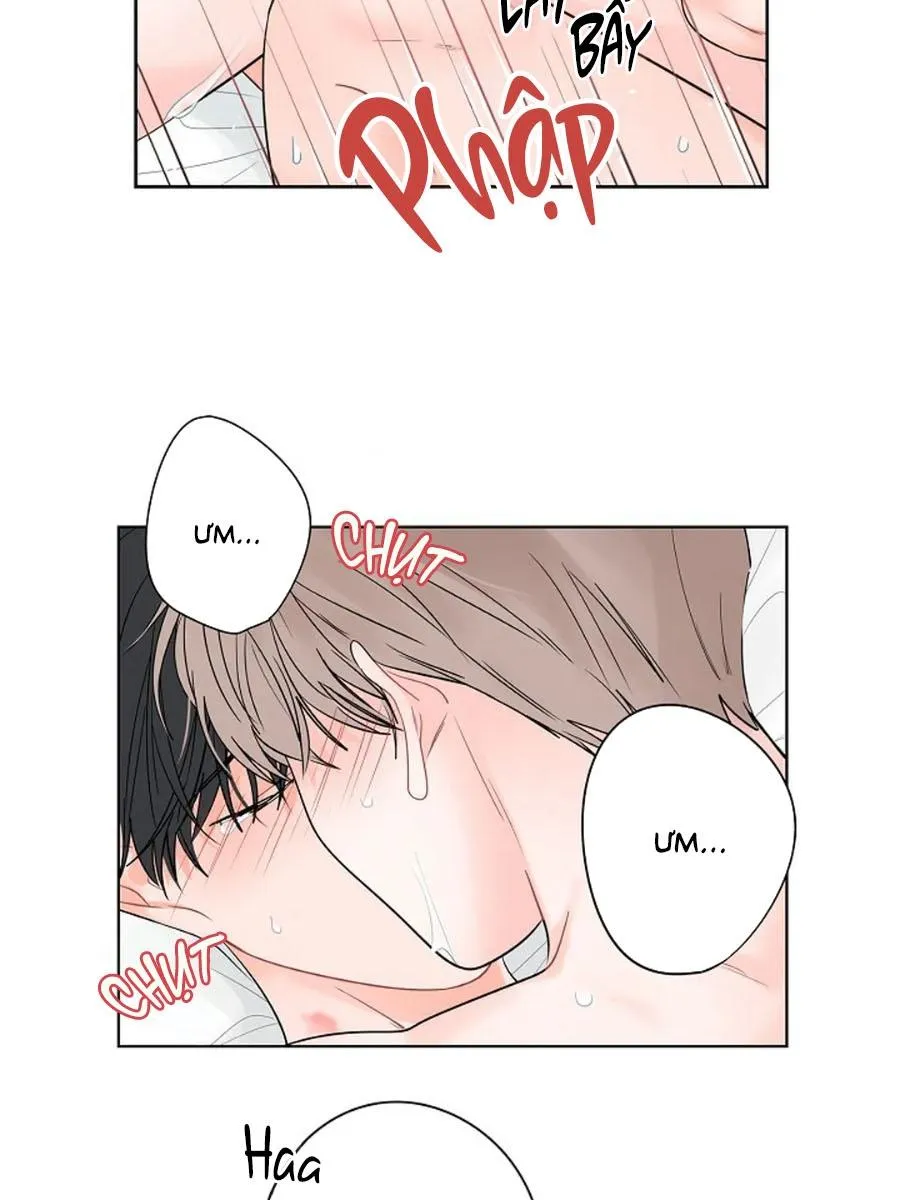 Tiền Bối, Chúng Ta Cần Nói Chuyện Chapter 31 Trang 34