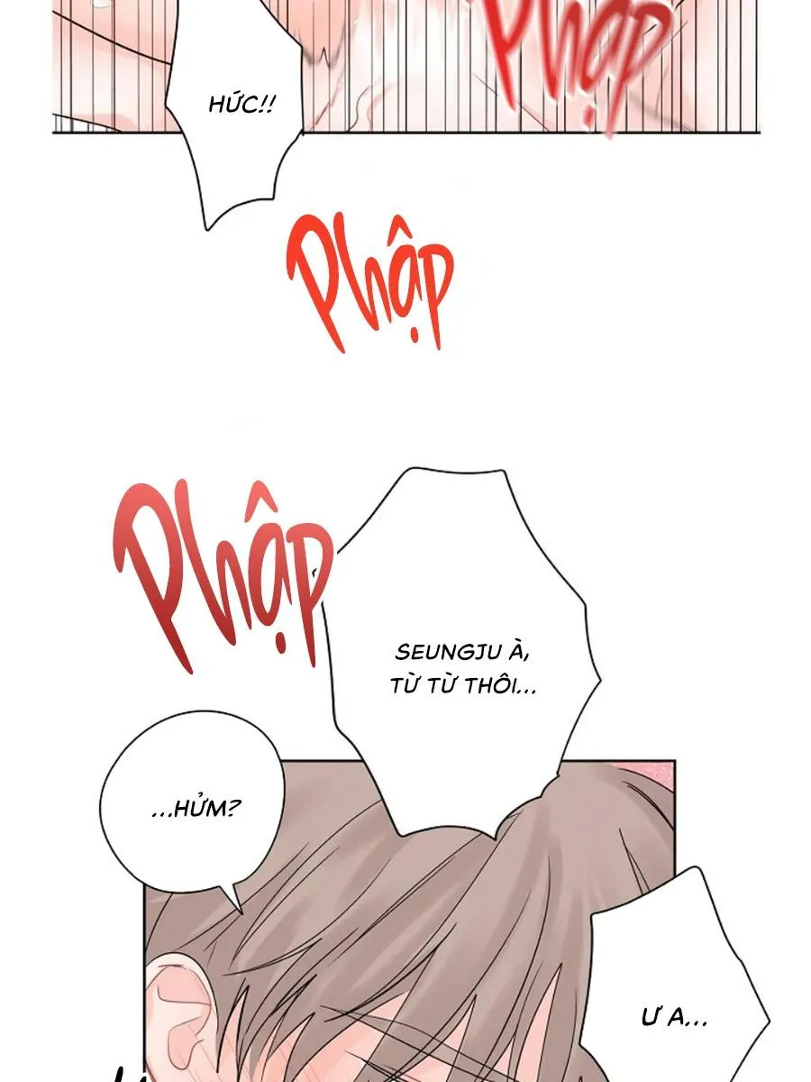 Tiền Bối, Chúng Ta Cần Nói Chuyện Chapter 32 Trang 5