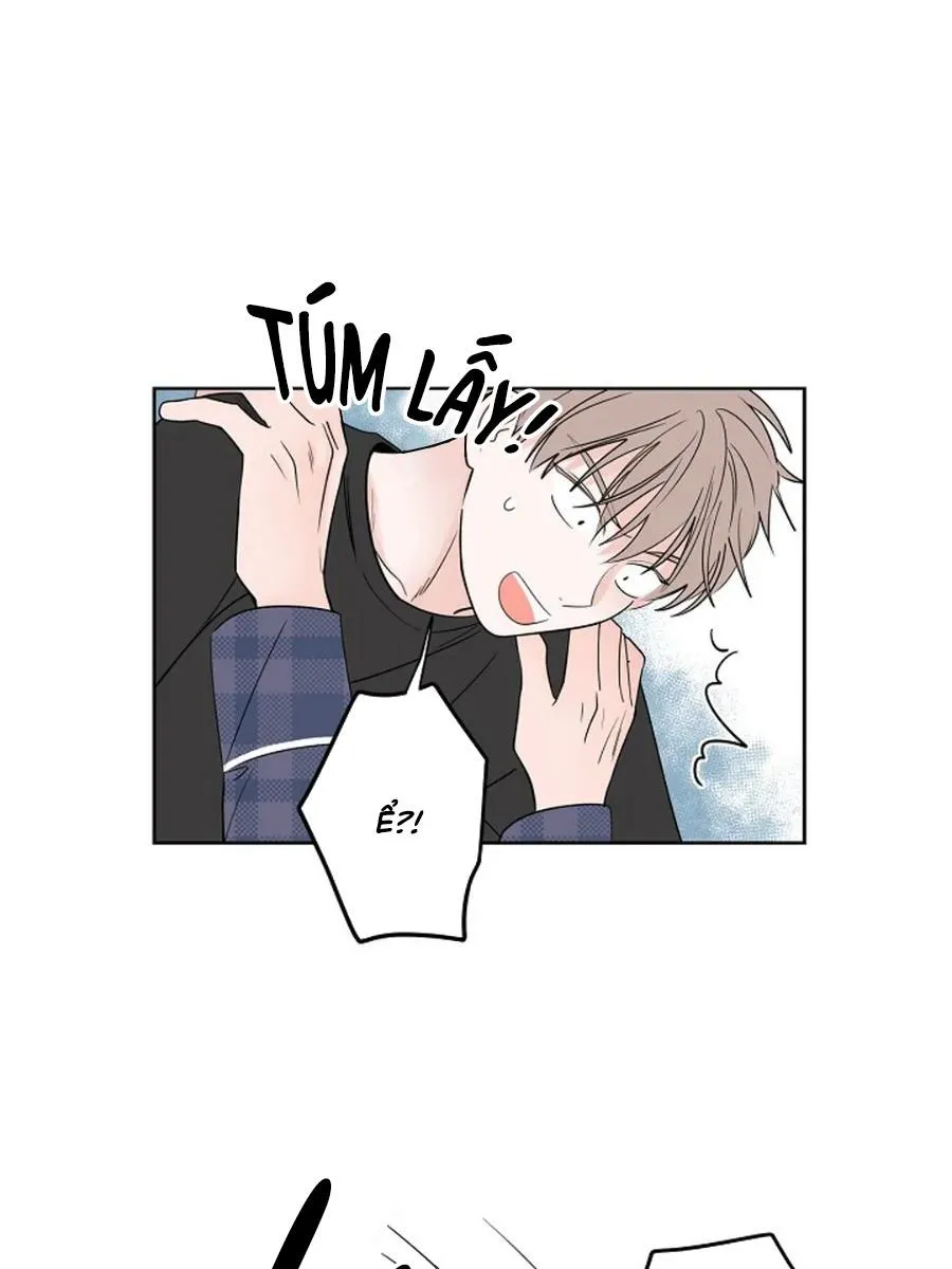 Tiền Bối, Chúng Ta Cần Nói Chuyện Chapter 32 Trang 41