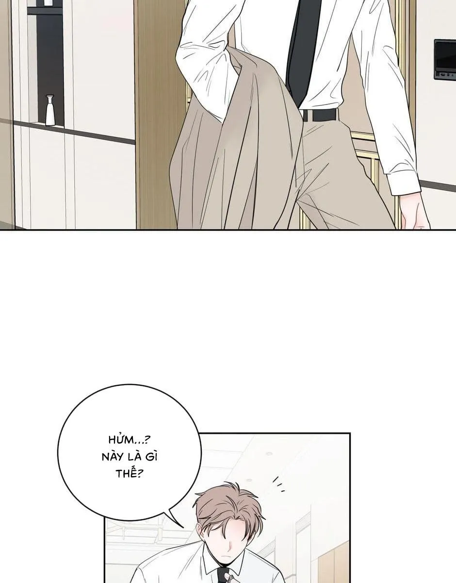 Tiền Bối, Chúng Ta Cần Nói Chuyện Chapter 35 Trang 37