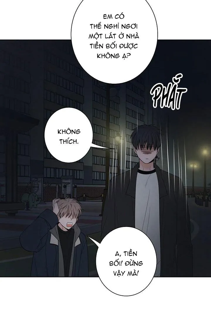 TIỀN BỐI! NÓI CHUYỆN CHÚT ĐI! Chapter 20 Trang 52