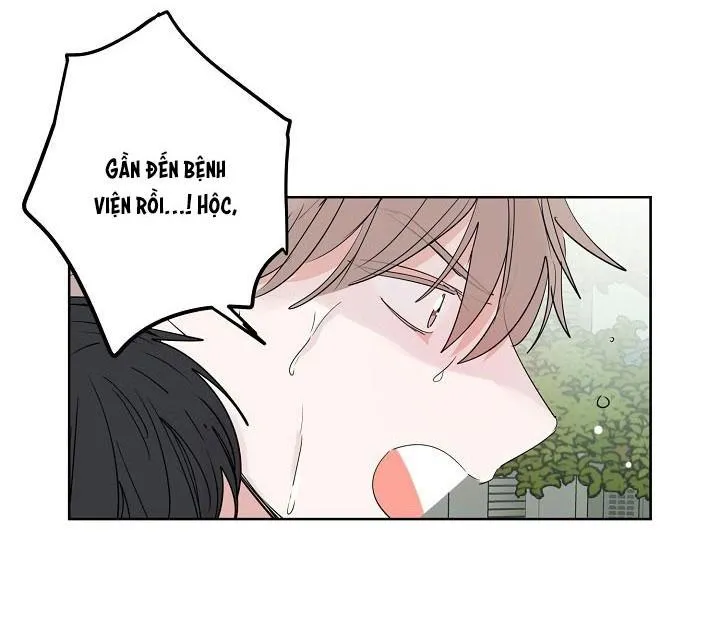 TIỀN BỐI! NÓI CHUYỆN CHÚT ĐI! Chapter 22 Trang 18