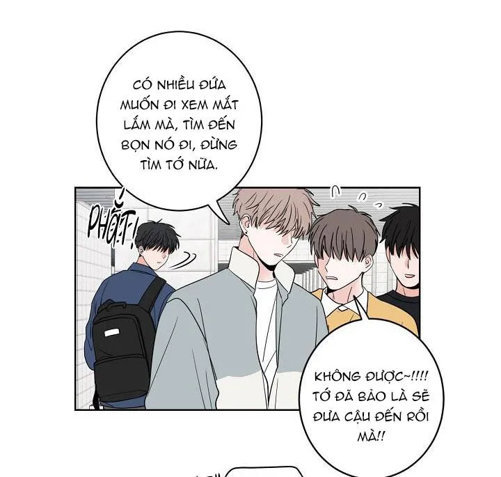 TIỀN BỐI! NÓI CHUYỆN CHÚT ĐI! Chapter 23 Trang 52