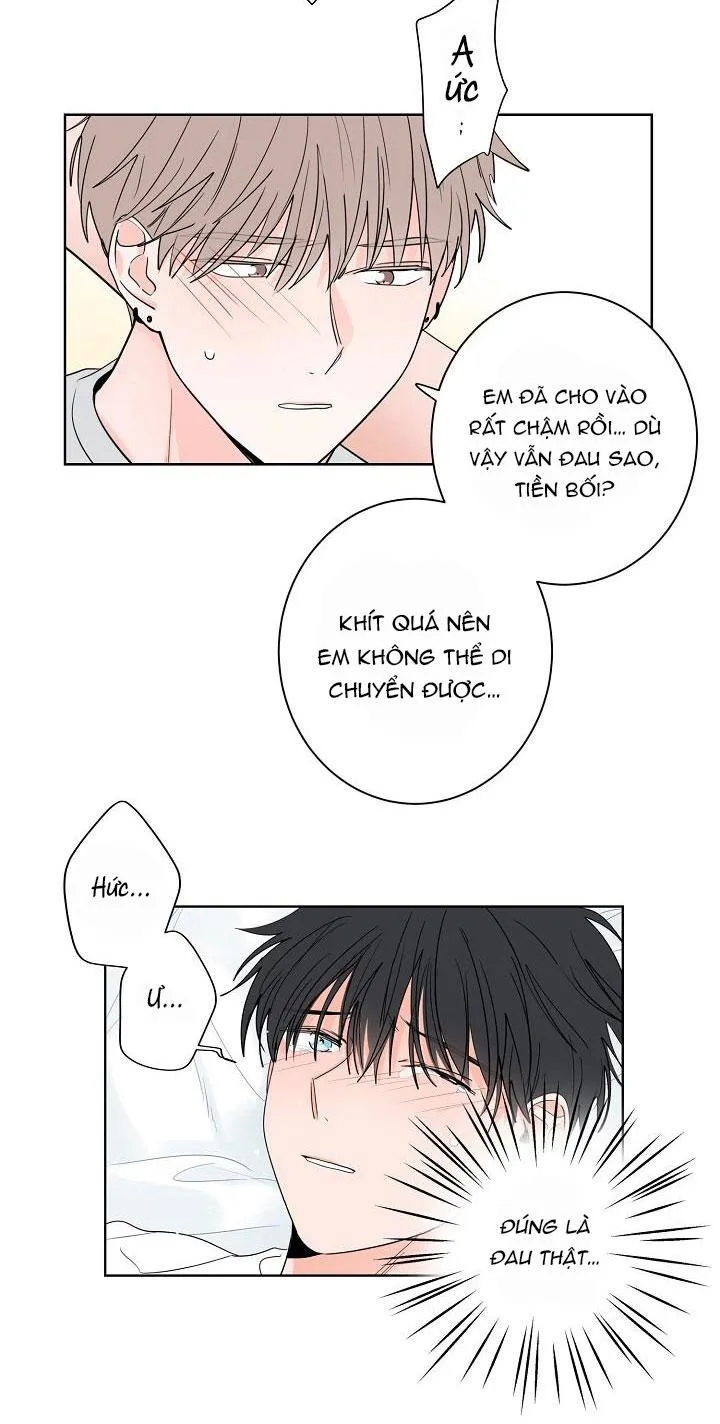 TIỀN BỐI! NÓI CHUYỆN CHÚT ĐI! Chapter 26 Trang 12