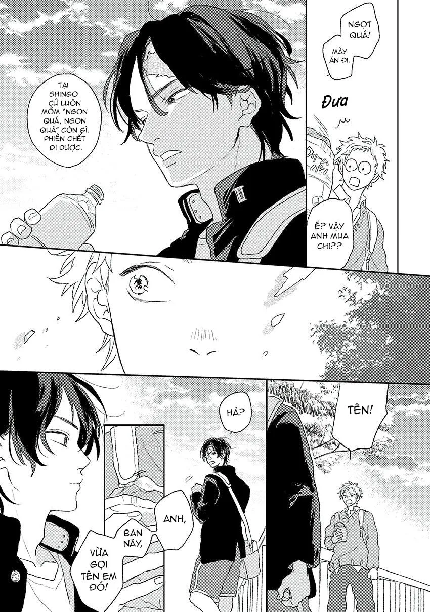 Tiếng Sét Ái Tình Chapter 2 Trang 12