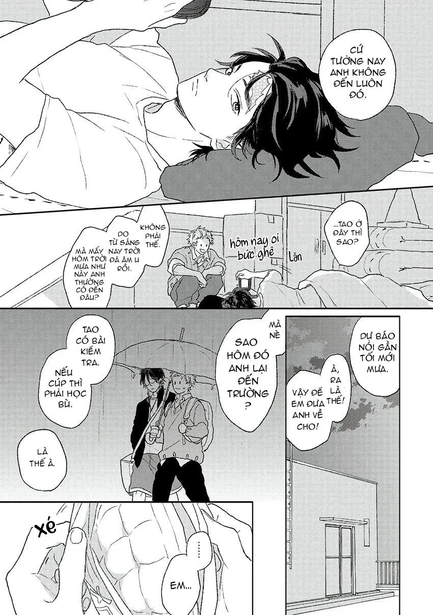 Tiếng Sét Ái Tình Chapter 2 Trang 14