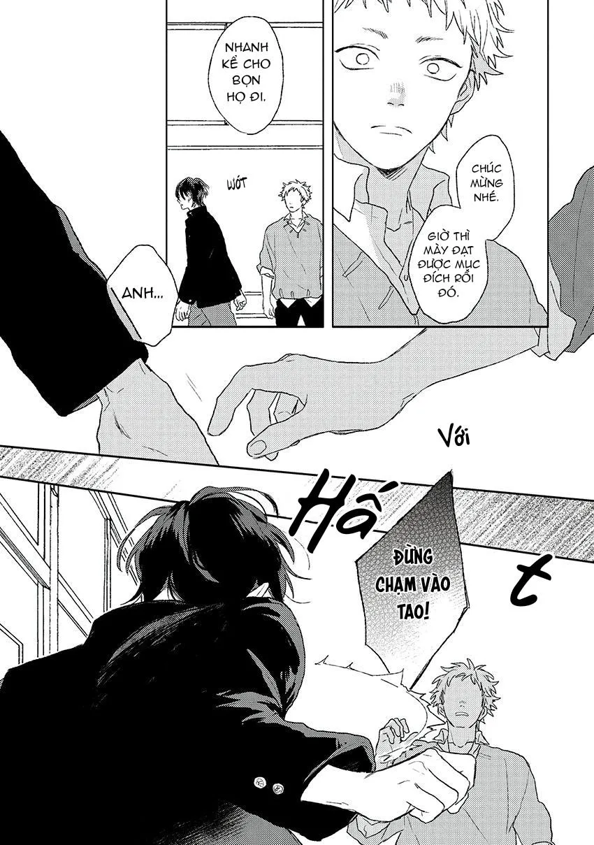 Tiếng Sét Ái Tình Chapter 2 Trang 24