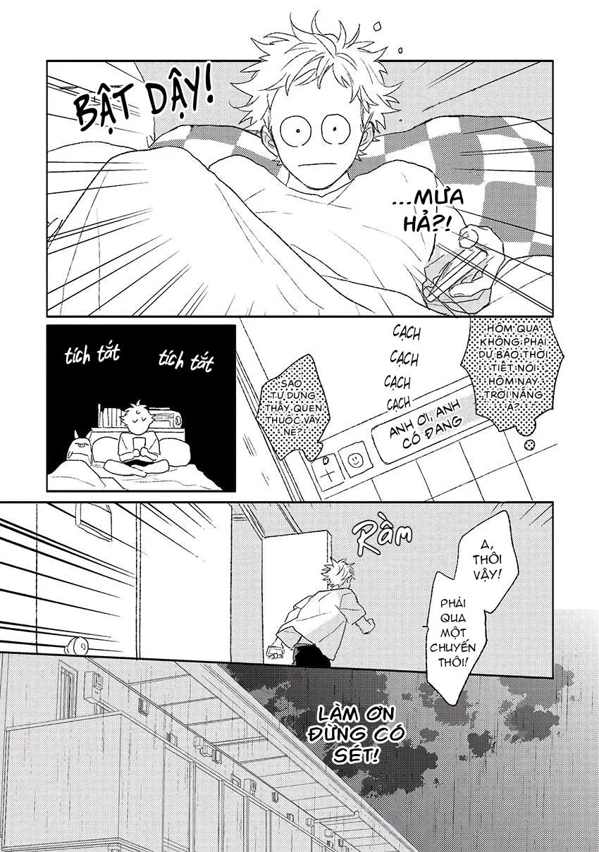 Tiếng Sét Ái Tình Chapter 4 Trang 8