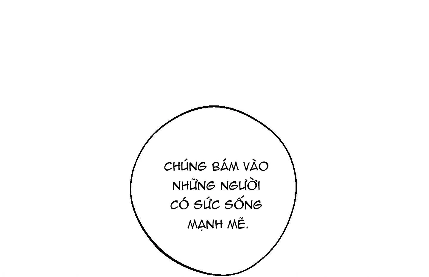 TIẾNG XUÂN VỀ Chapter 3 Trang 18