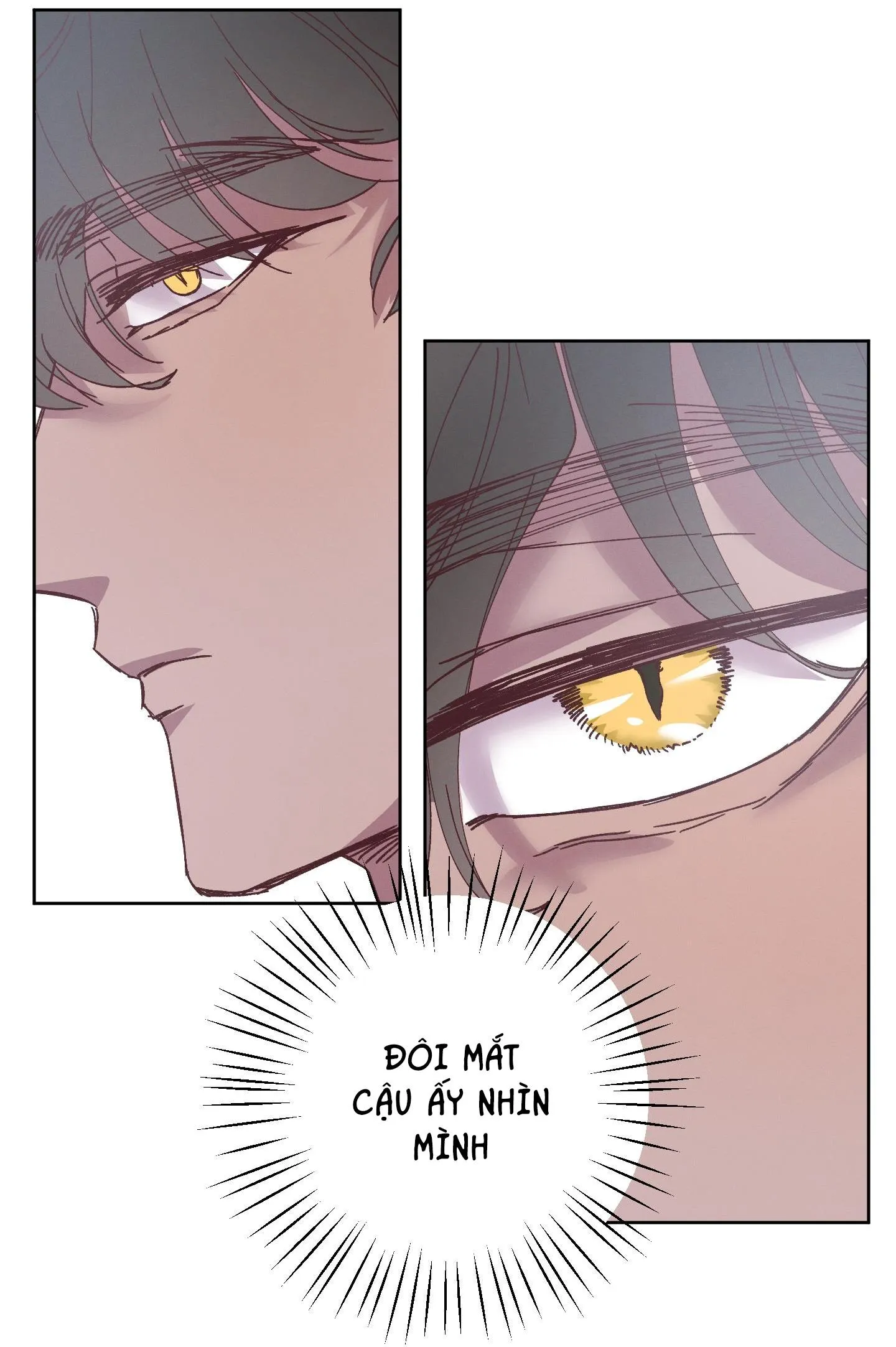 TIẾNG XUÂN VỀ Chapter 12 Trang 164