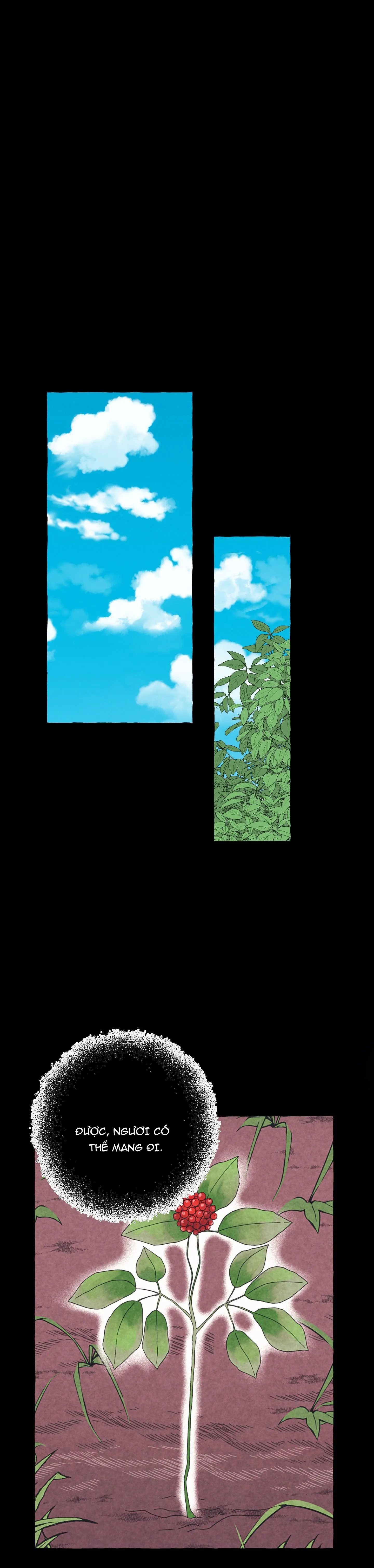 TIẾNG XUÂN VỀ Chapter 13 Trang 20