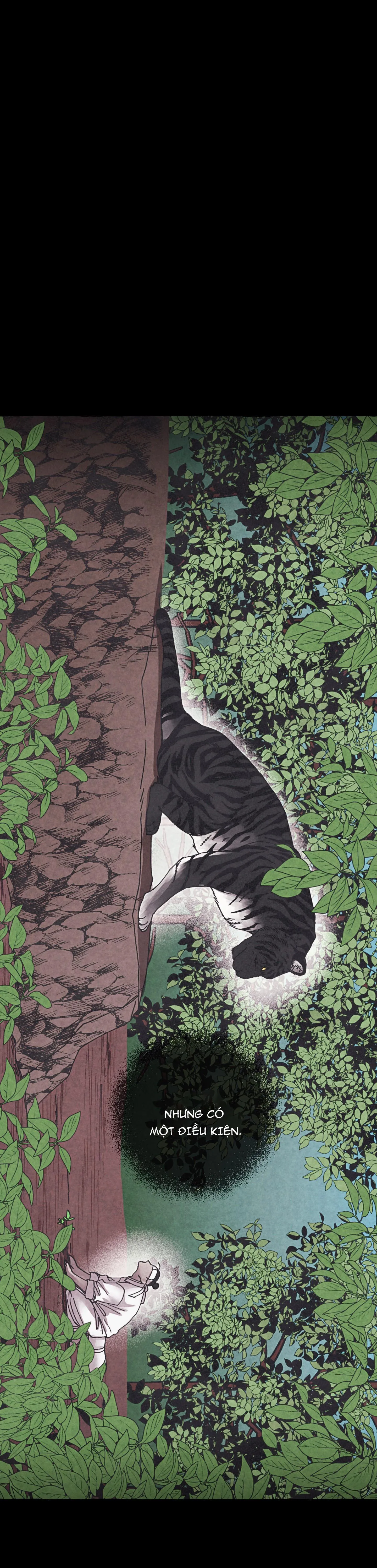 TIẾNG XUÂN VỀ Chapter 13 Trang 21
