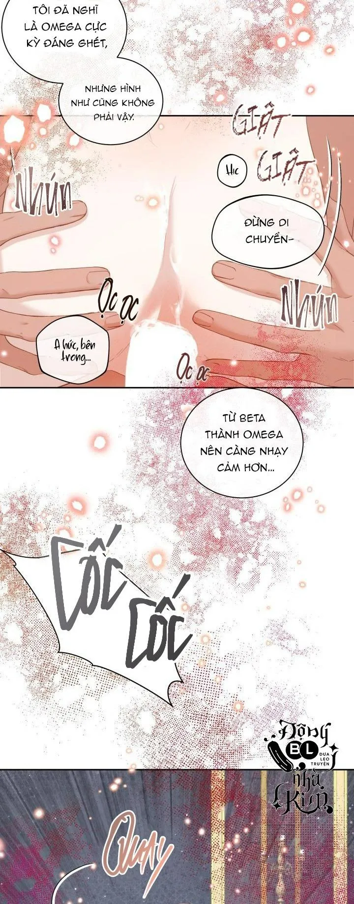 TIỂU  BÁ TƯỚC BETA NAY ĐÃ KHÁC XƯA Chapter 2 Trang 40