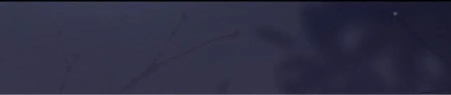 Tiểu thiếu gia dựa vào nhan sắc càn quét toàn hệ thống Chapter 10 Trang 4