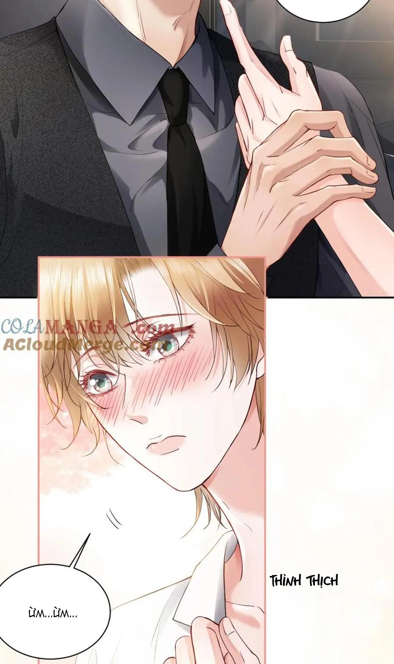 Tiểu thiếu gia dựa vào nhan sắc càn quét toàn hệ thống Chapter 17 Trang 9