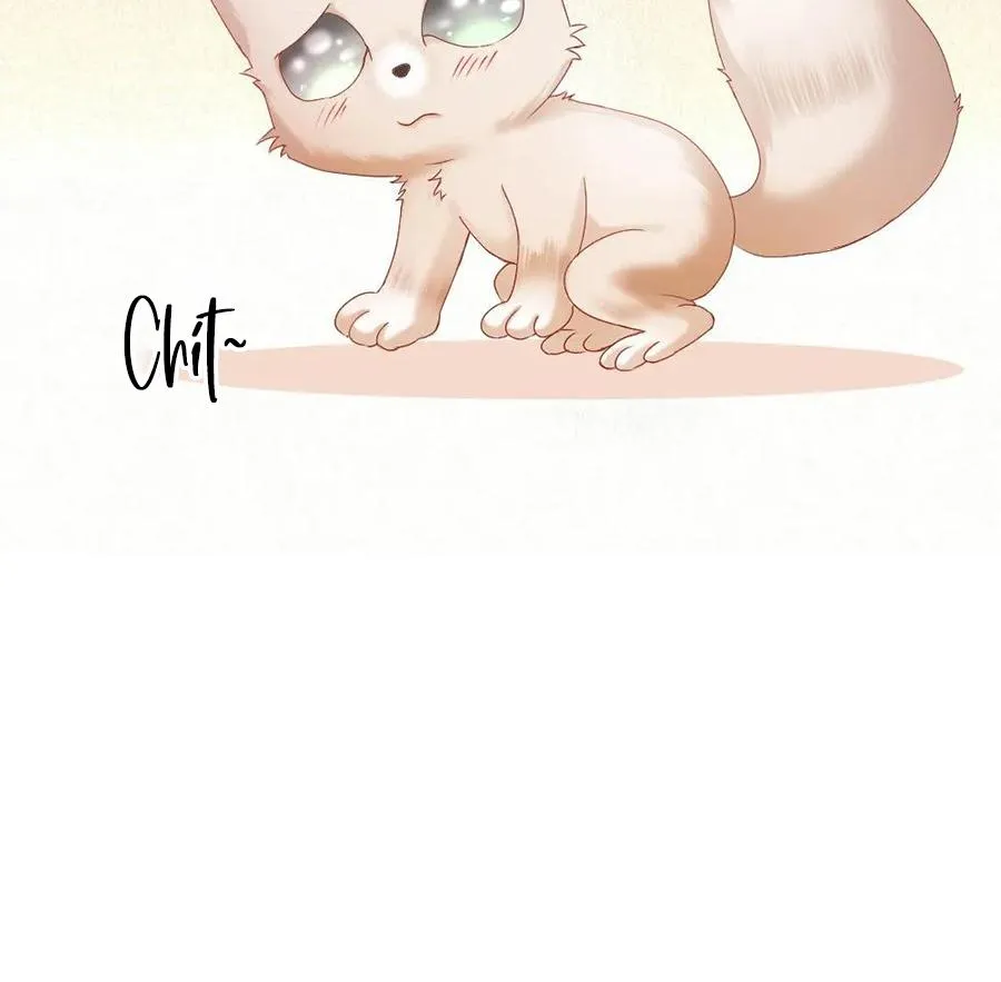 Tiểu thiếu gia dựa vào nhan sắc càn quét toàn hệ thống Chapter 80 Trang 28