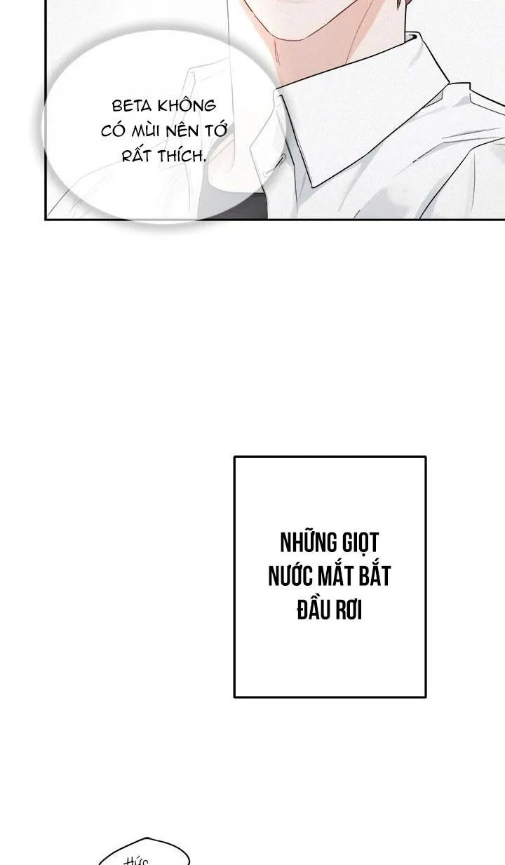 TIỂU THỬ: BẮT ĐẦU MÙA HÈ Chapter 27 Trang 99