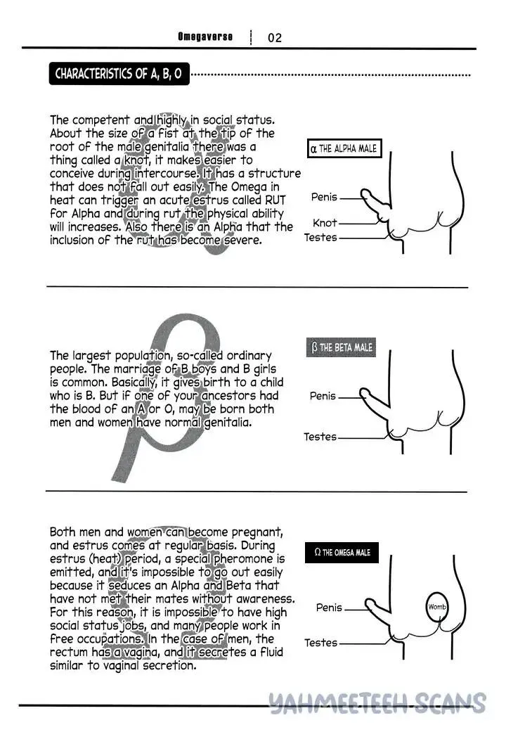 Tìm Thấy Em Rồi, Omega Của Tôii Chapter 1 Trang 5