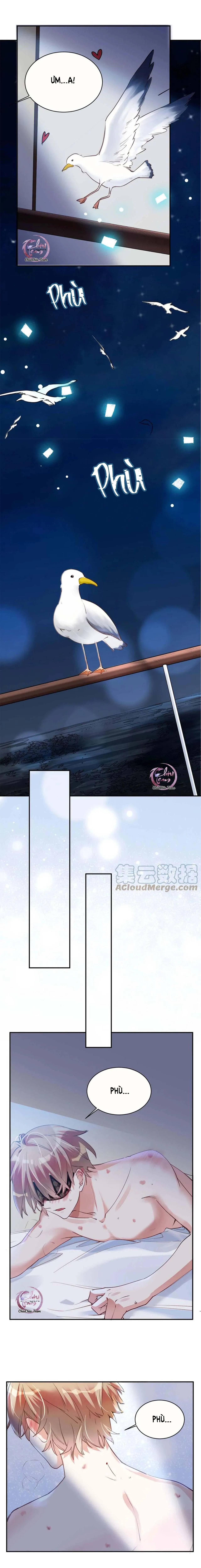 Tín Hiệu Bão (END) Chapter 25 Trang 7