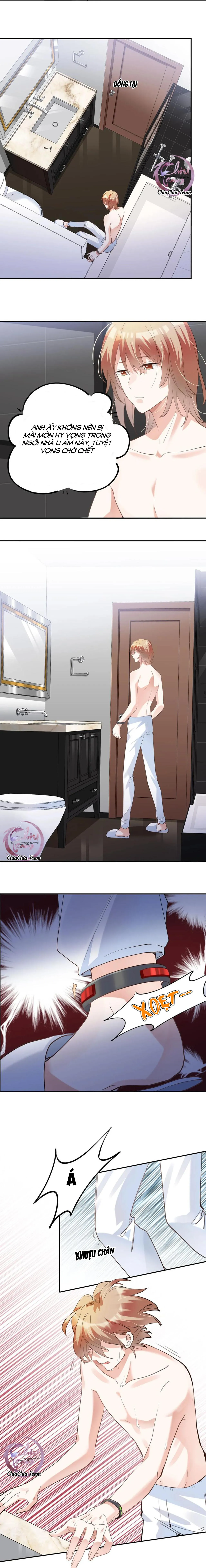 Tín Hiệu Bão (END) Chapter 37 Trang 5