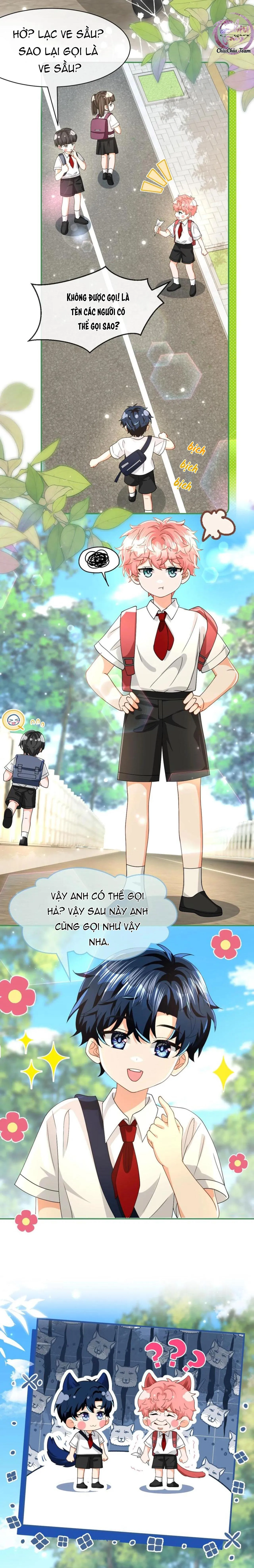 Tin Tức Tố Nói Chúng Ta Không Có Khả Năng Chapter 98 Trang 6