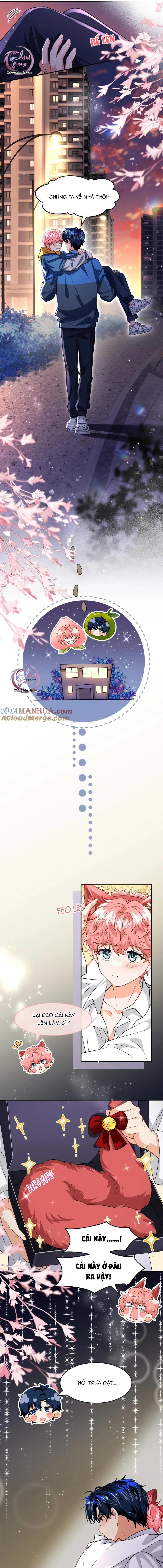 Tin Tức Tố Nói Chúng Ta Không Có Khả Năng Chapter 100 Trang 11