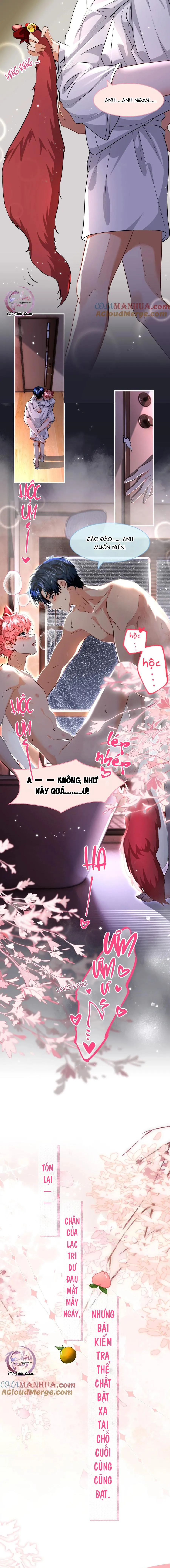 Tin Tức Tố Nói Chúng Ta Không Có Khả Năng Chapter 100 Trang 12