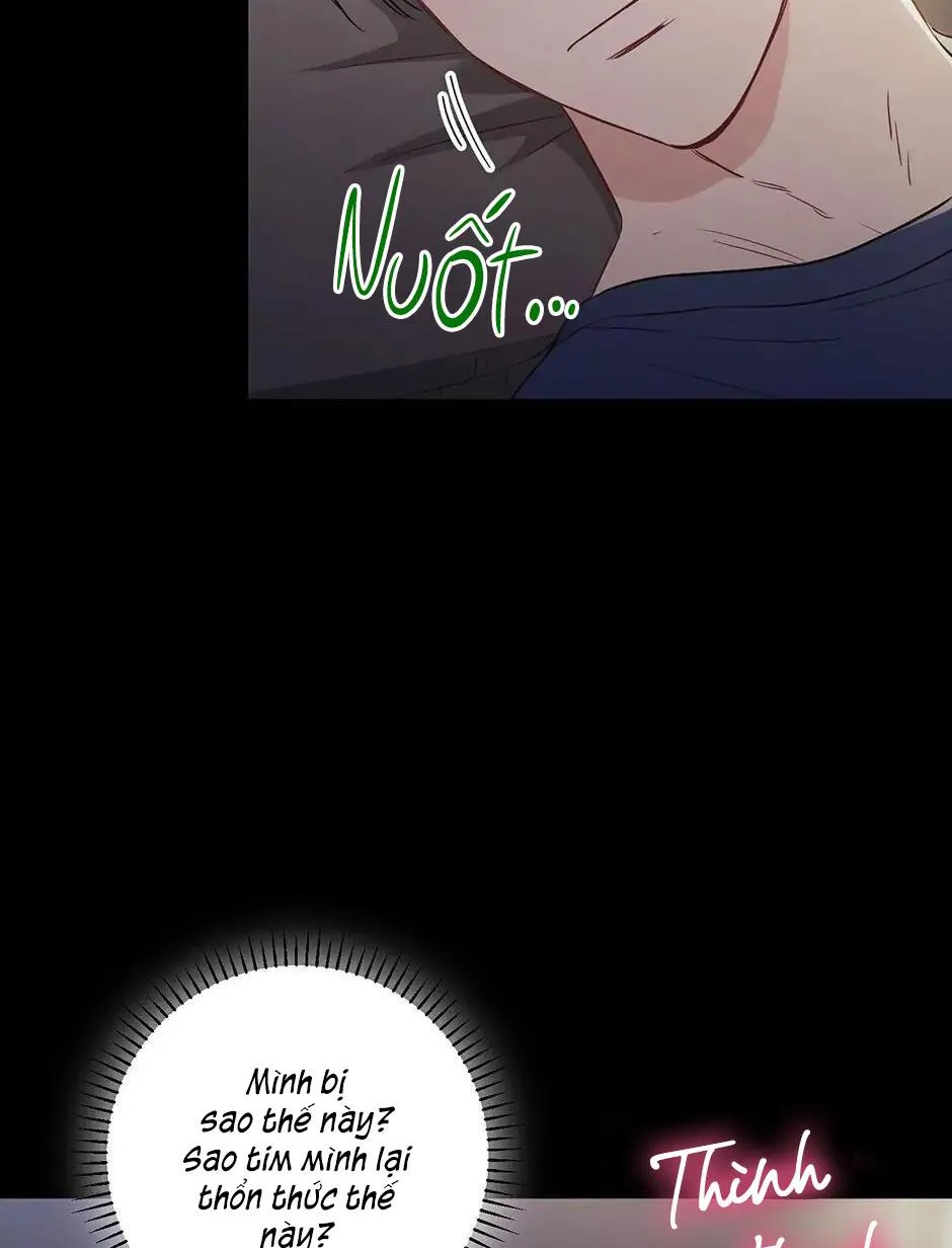 Tình anh em xã hội chủ nghĩa Chapter 27 Trang 14